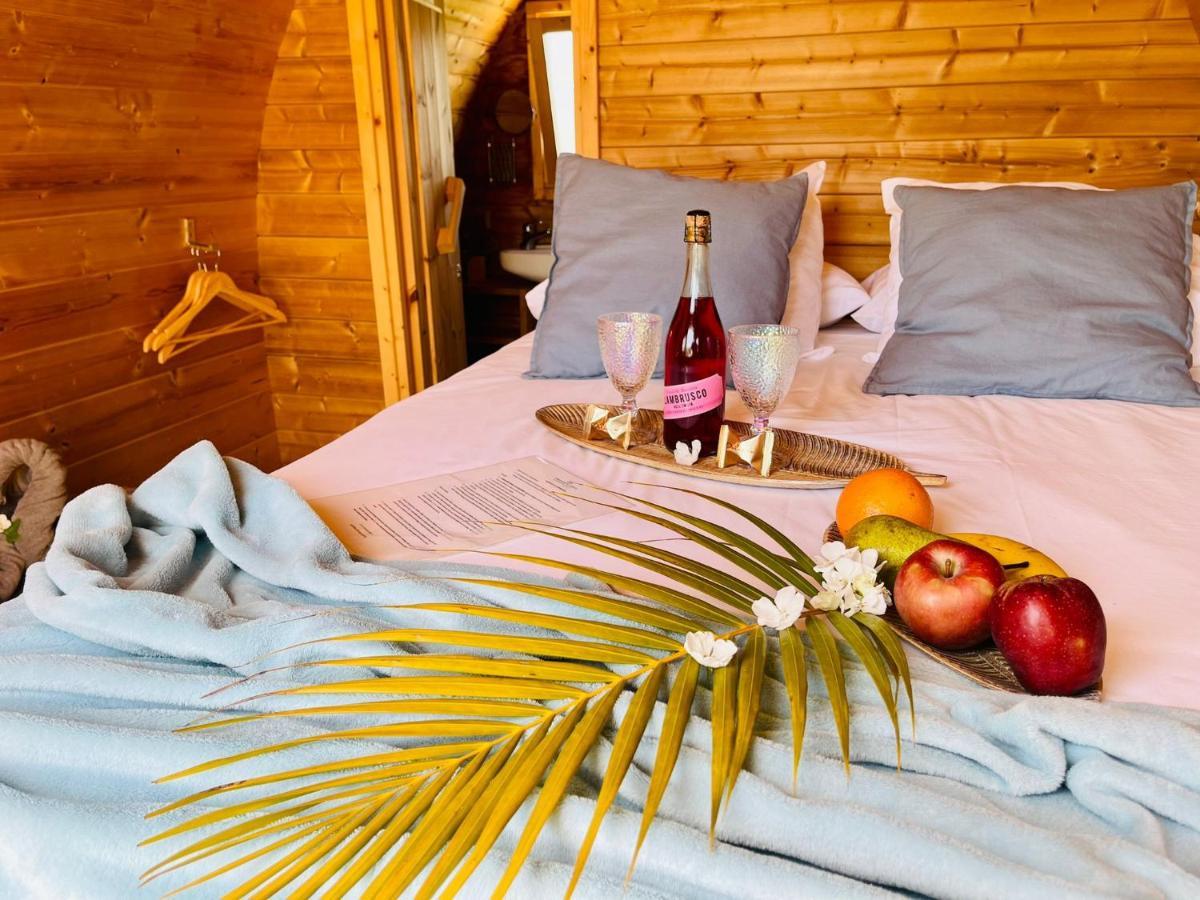 Amani Suite Con Jacuzzi Climatizado Y Piscina Buzanada エクステリア 写真