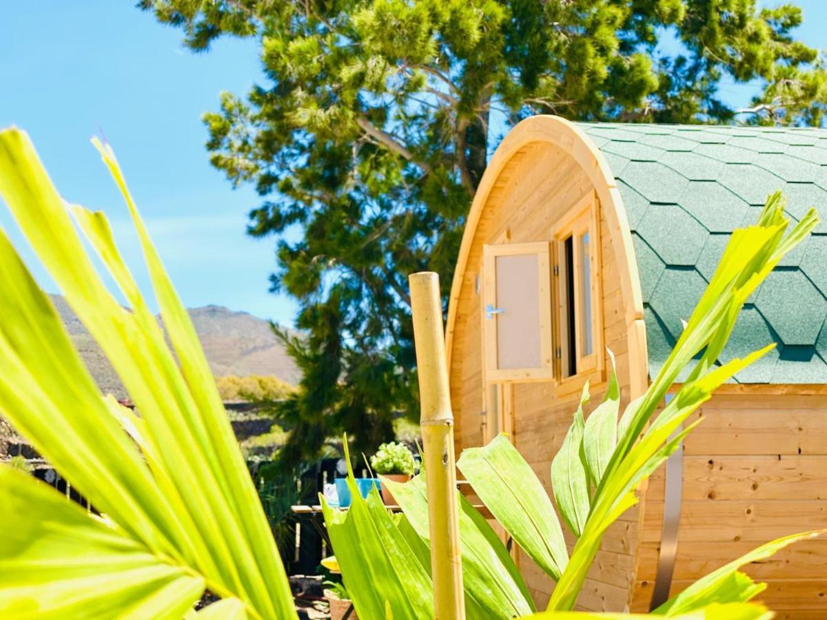 Amani Suite Con Jacuzzi Climatizado Y Piscina Buzanada エクステリア 写真