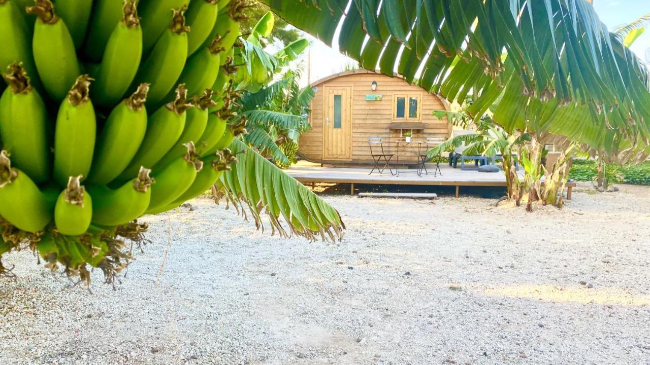 Amani Suite Con Jacuzzi Climatizado Y Piscina Buzanada エクステリア 写真