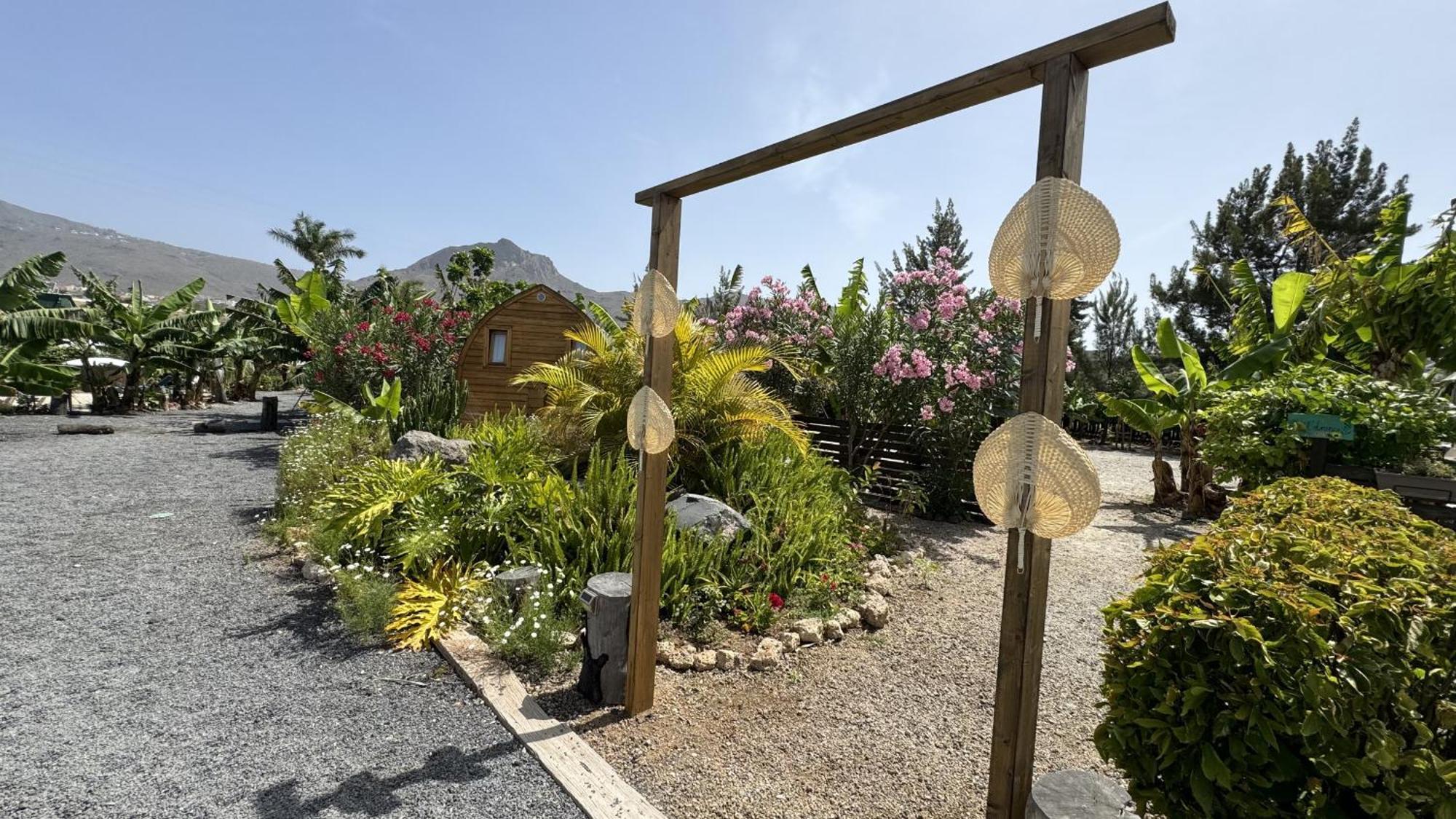 Amani Suite Con Jacuzzi Climatizado Y Piscina Buzanada エクステリア 写真