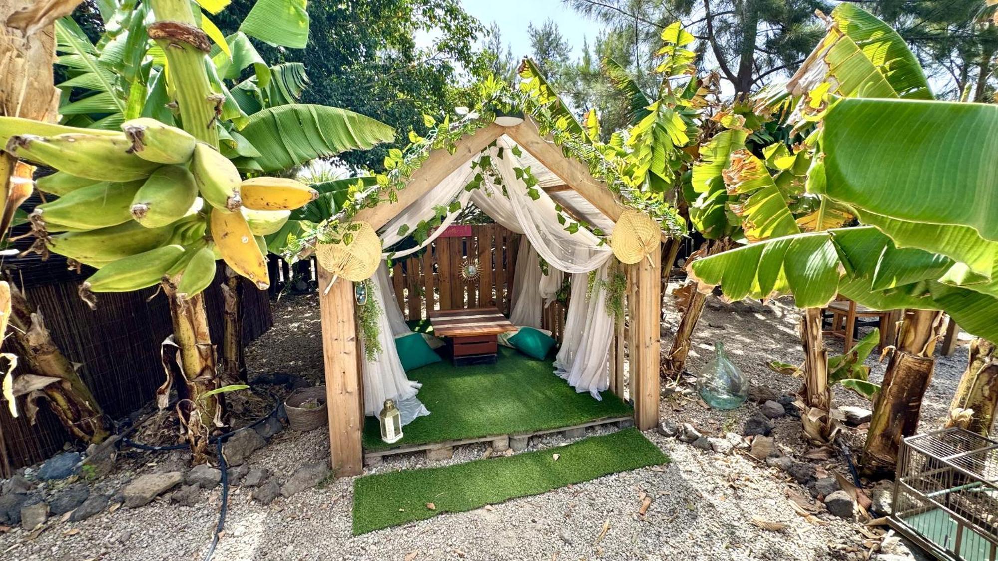 Amani Suite Con Jacuzzi Climatizado Y Piscina Buzanada エクステリア 写真